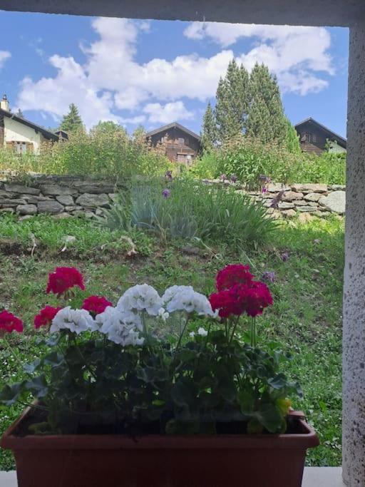 Vacances En Tout Tranquillite A Vercorin Extérieur photo
