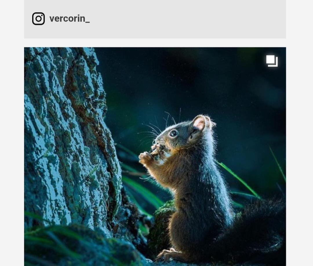 Vacances En Tout Tranquillite A Vercorin Extérieur photo